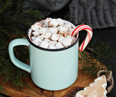 Mug of hot chocolate with marshmallows and a candy cane