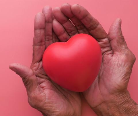 Hands holding a red heart