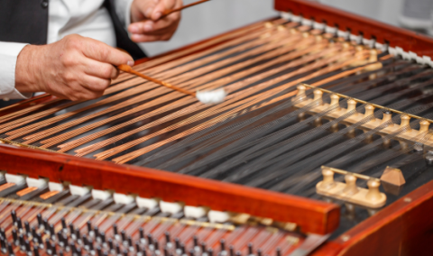 Person playing a hammered dulcimer