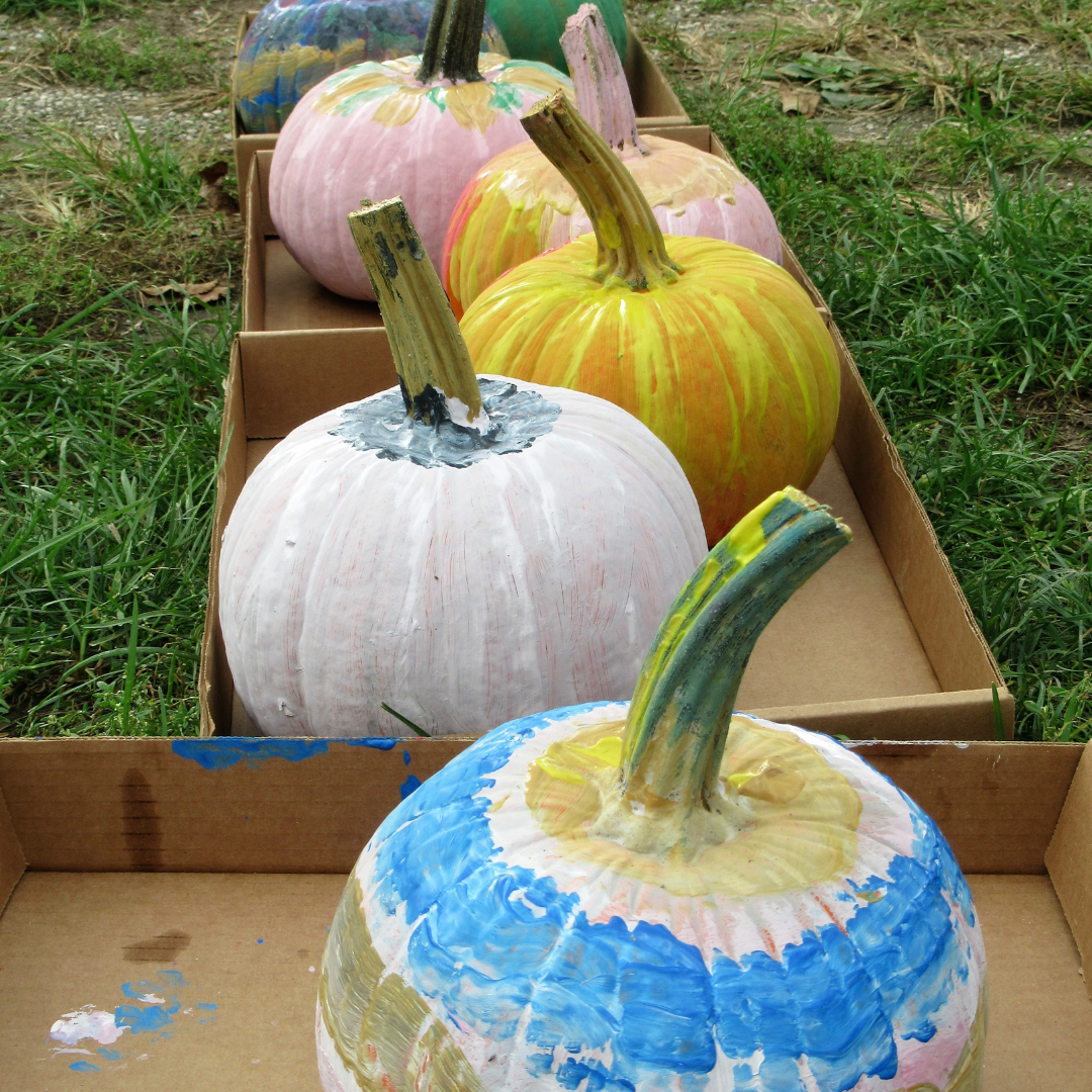 Painted pumpkins in a row