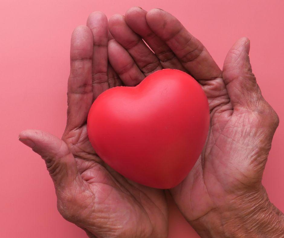 Hands holding a red heart
